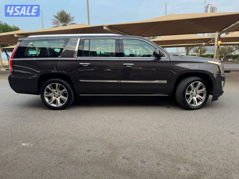 الشرق الصوابر2