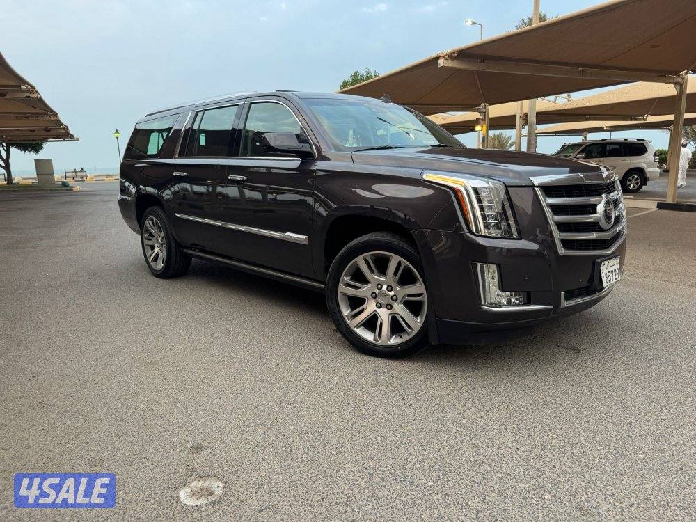 الشرق الصوابر1