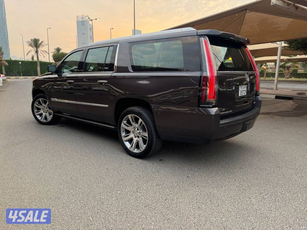 الشرق الصوابر3