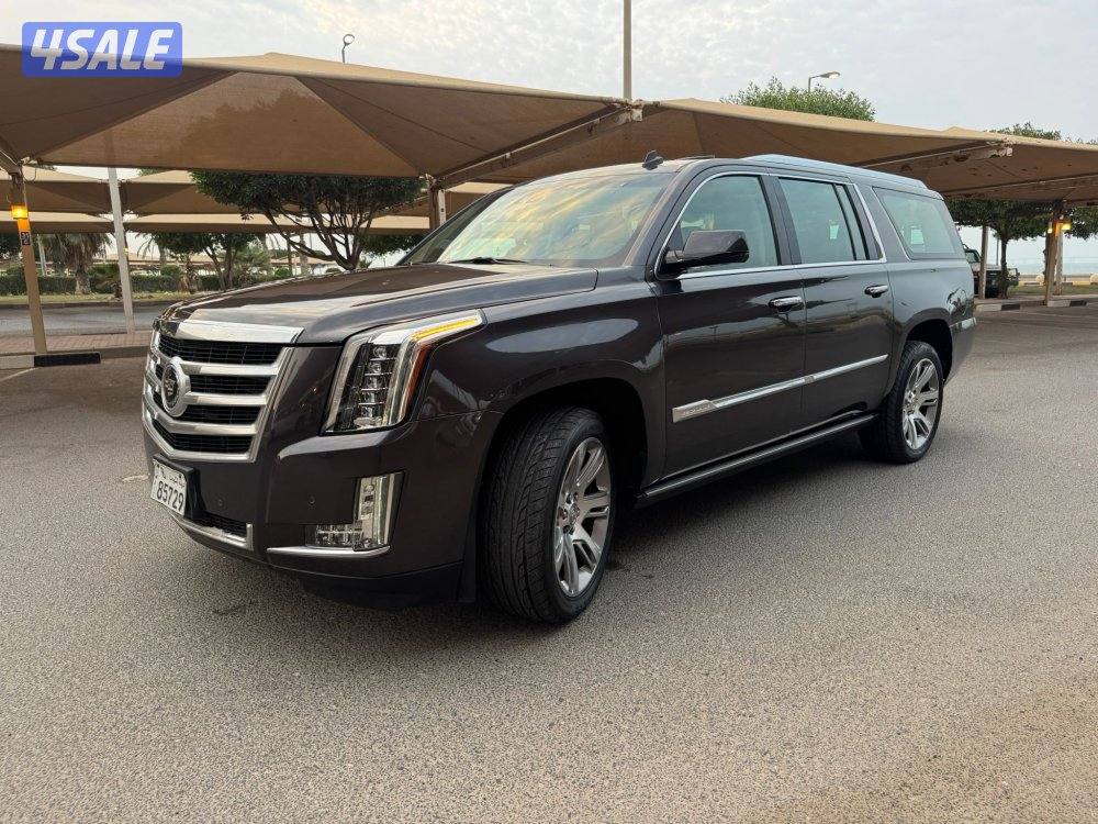 الشرق الصوابر7