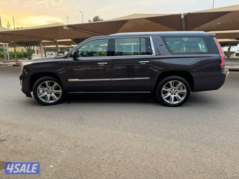 الشرق الصوابر6