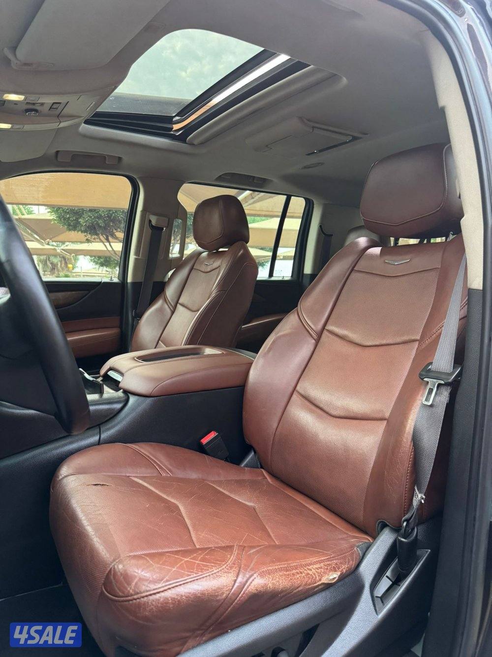 الشرق الصوابر8