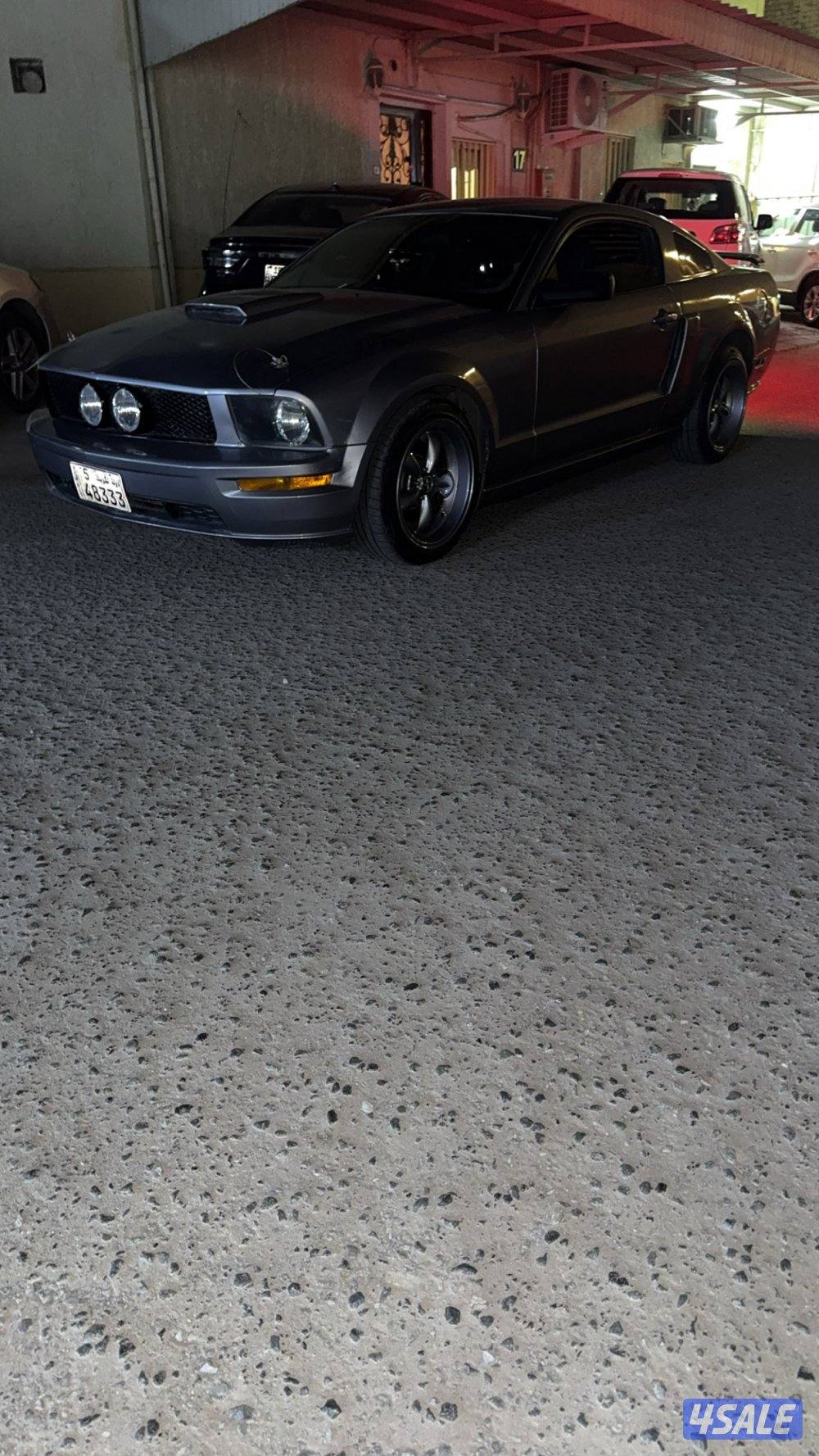 للبيع رنقات موستنق1