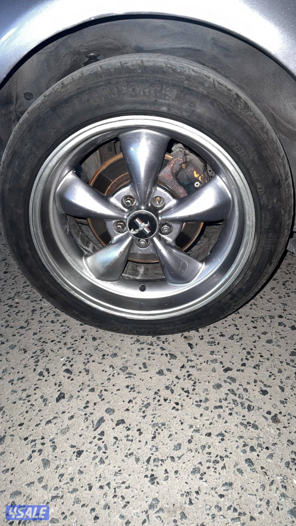 للبيع رنقات موستنق2