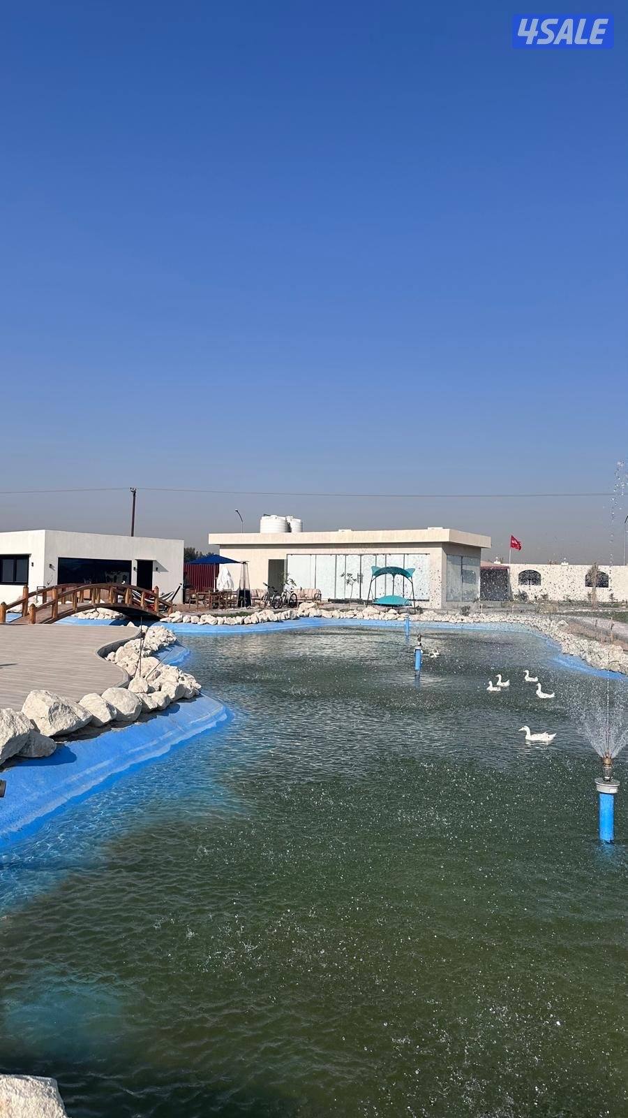 للإيجار مزرعه يومي وأسبوعي بالعبدلي قريبه من جميع الخدمات جديده14