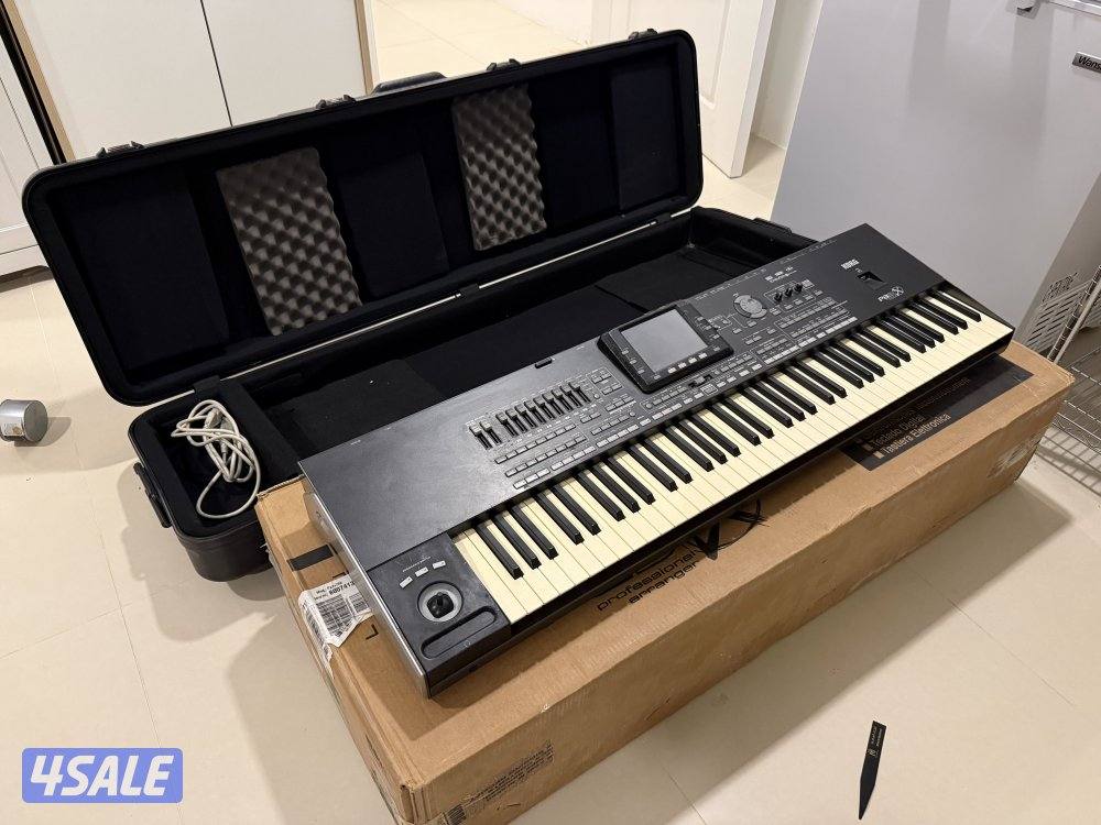 KORG Pa3X 76 extra RAM oriental0