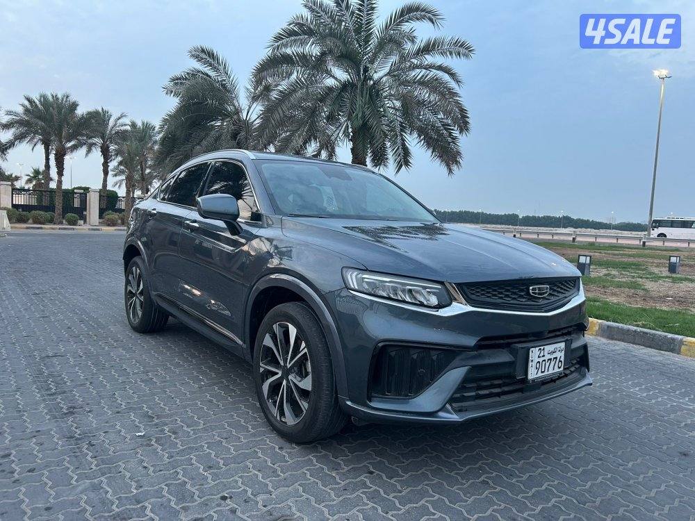 للمعاينة العارضية الحرفية0