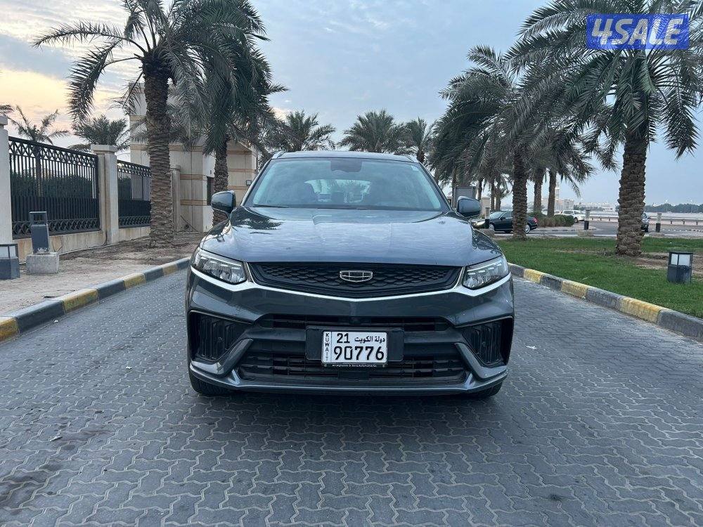 للمعاينة العارضية الحرفية1