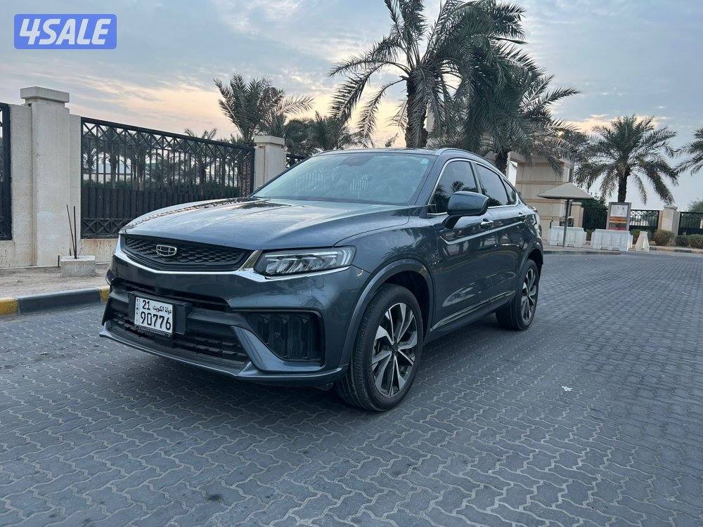 للمعاينة العارضية الحرفية2