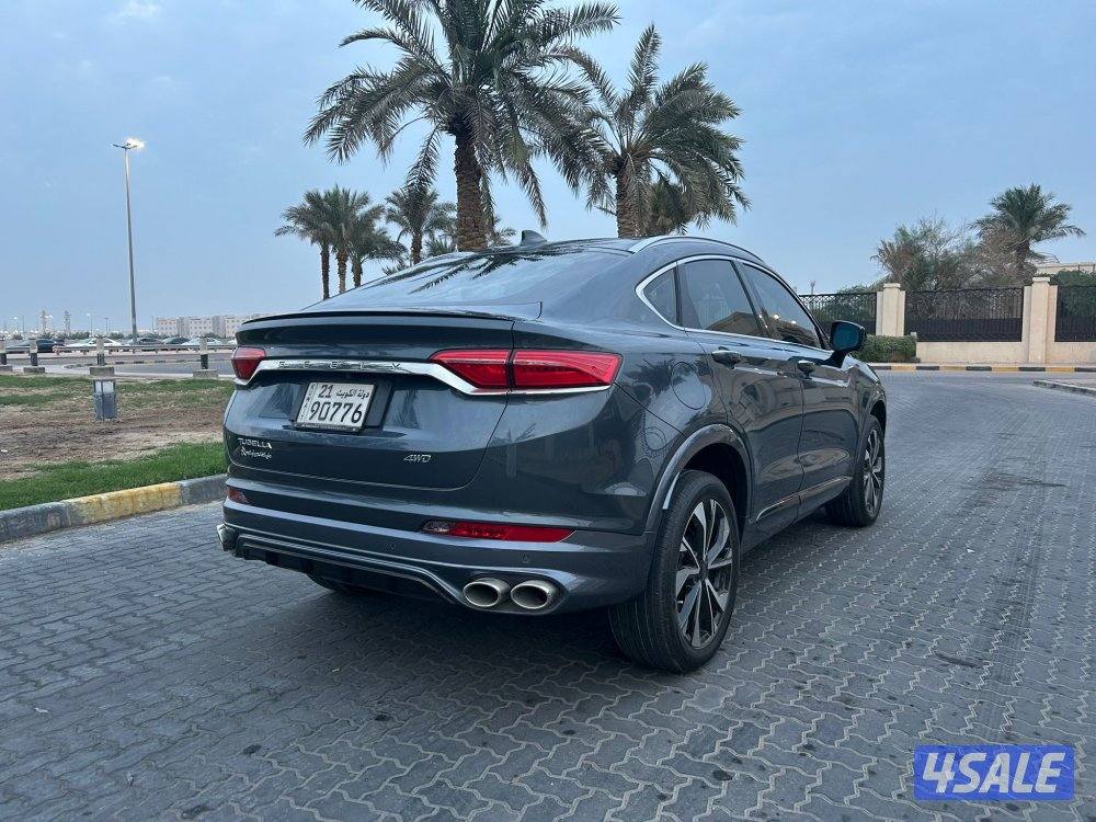 للمعاينة العارضية الحرفية5