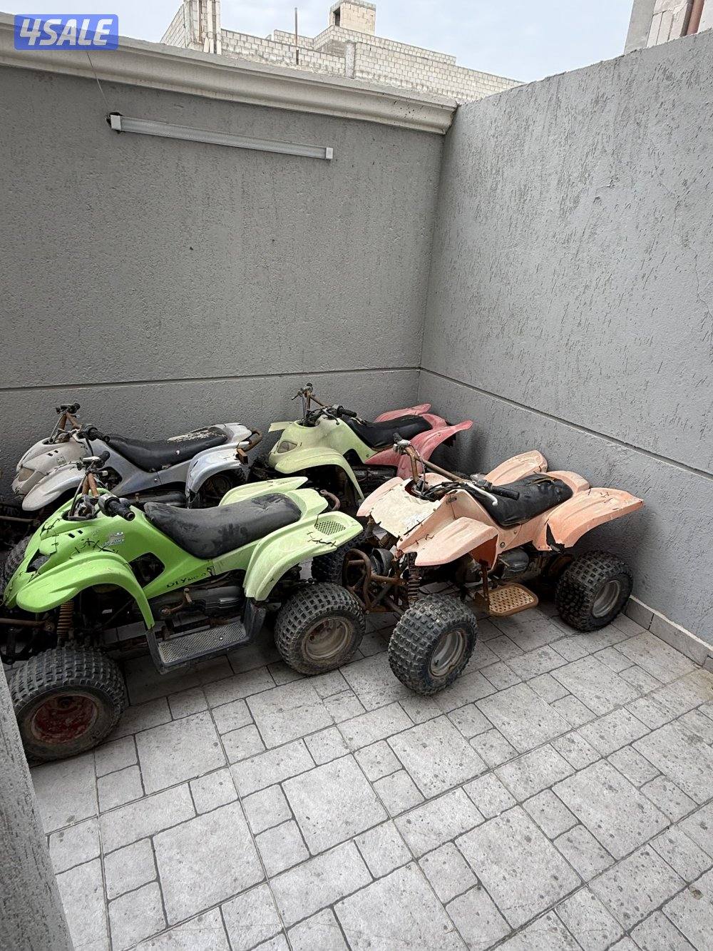 للبيع بقيات عميري البيع عليهم كلهم1