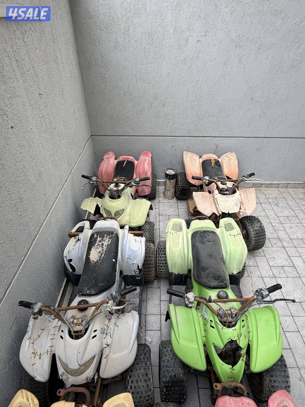 للبيع بقيات عميري البيع عليهم كلهم4