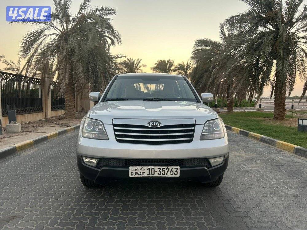 للمعاينة العارضية الحرفية1