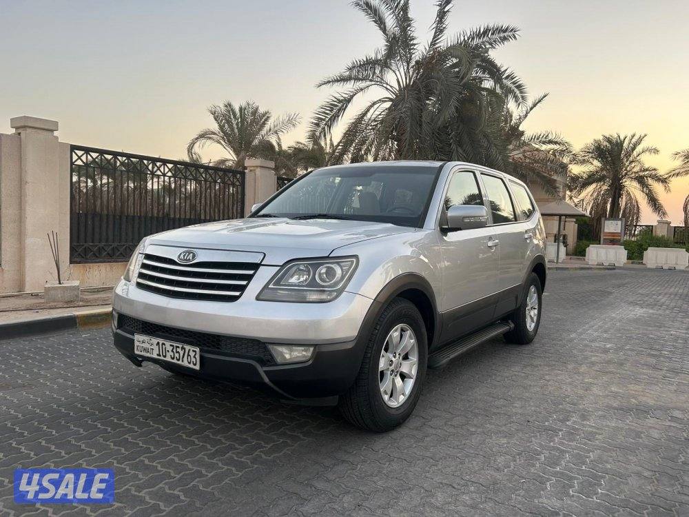 للمعاينة العارضية الحرفية2