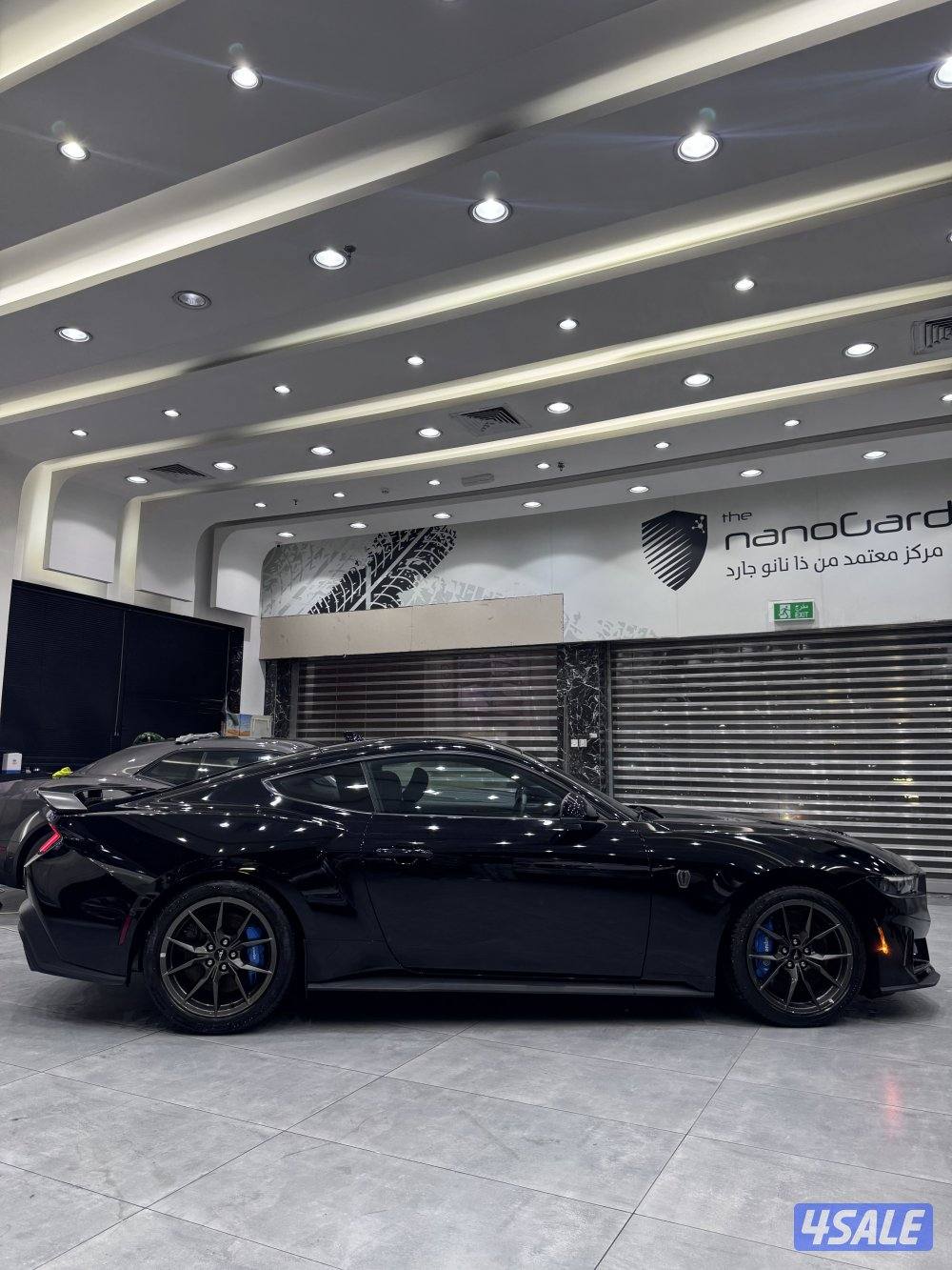 دارك هورس 20241