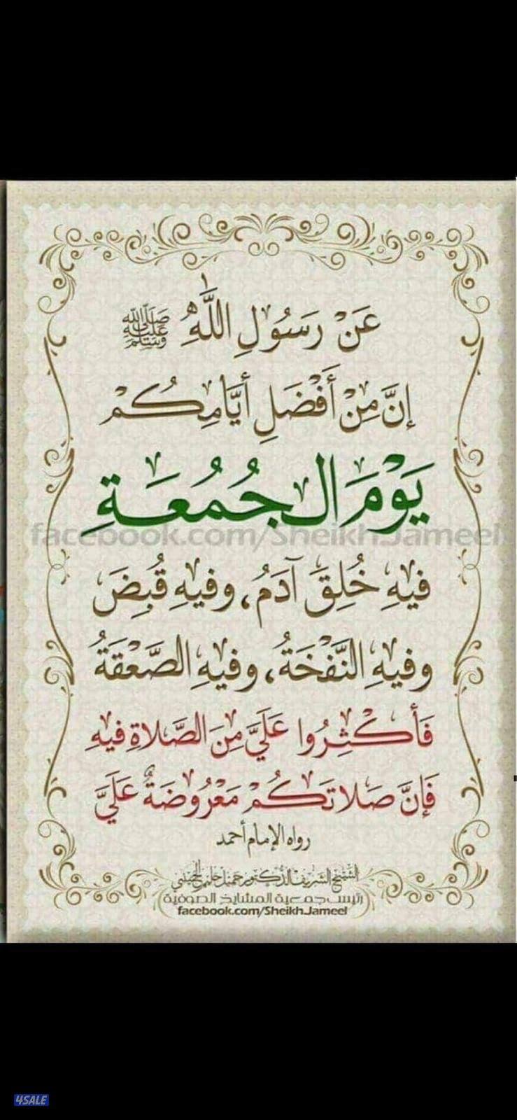 ‏شقة إيجار معاريس فقط شقة جديدة سوبر ديلوكس0