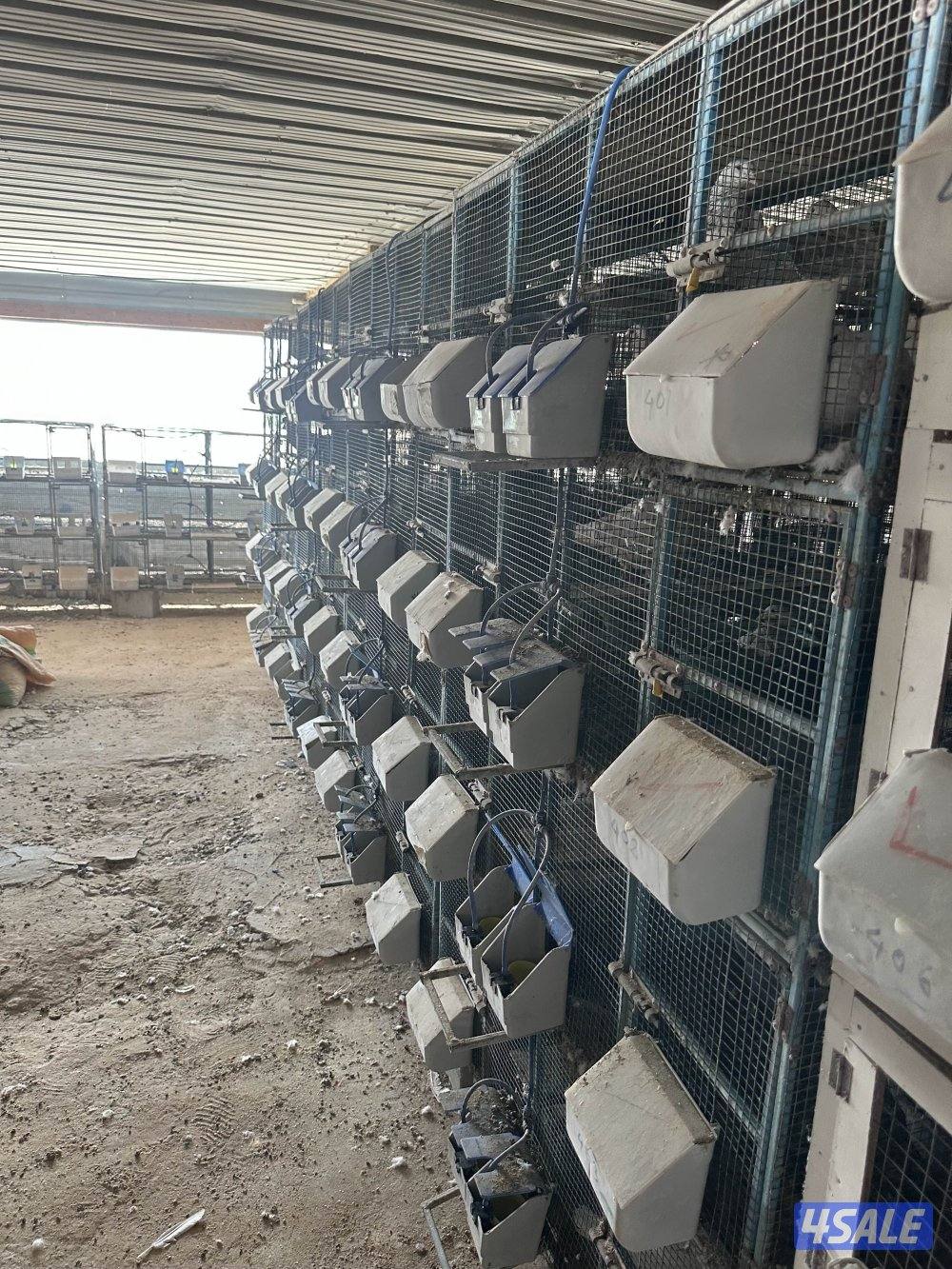 مشروع حمام زاجل9