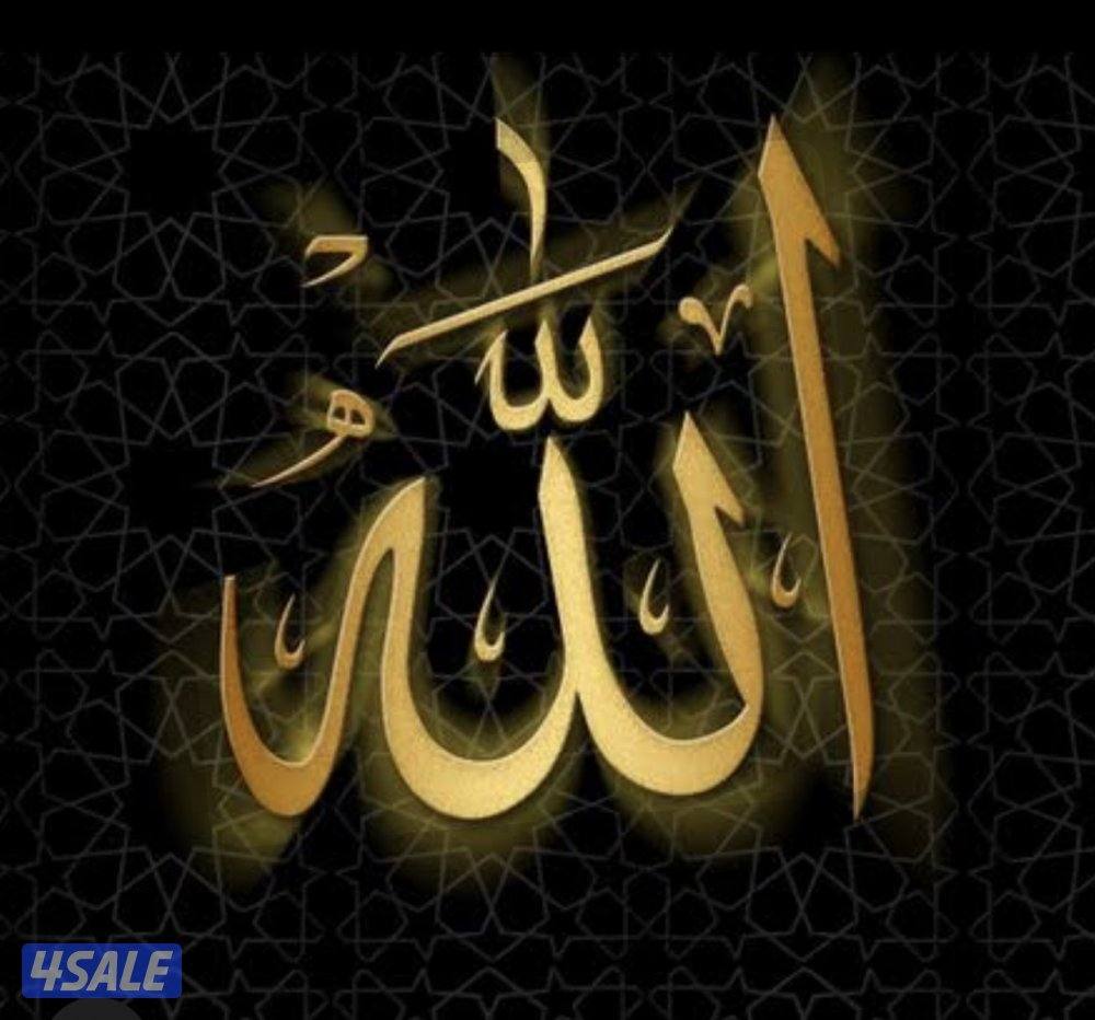 مطلوب موظفة0