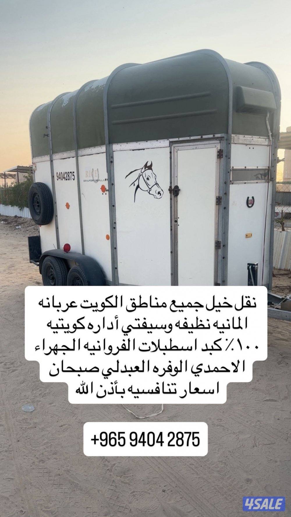 نقل خيل جميع مناطق الكويت 24ساعة0