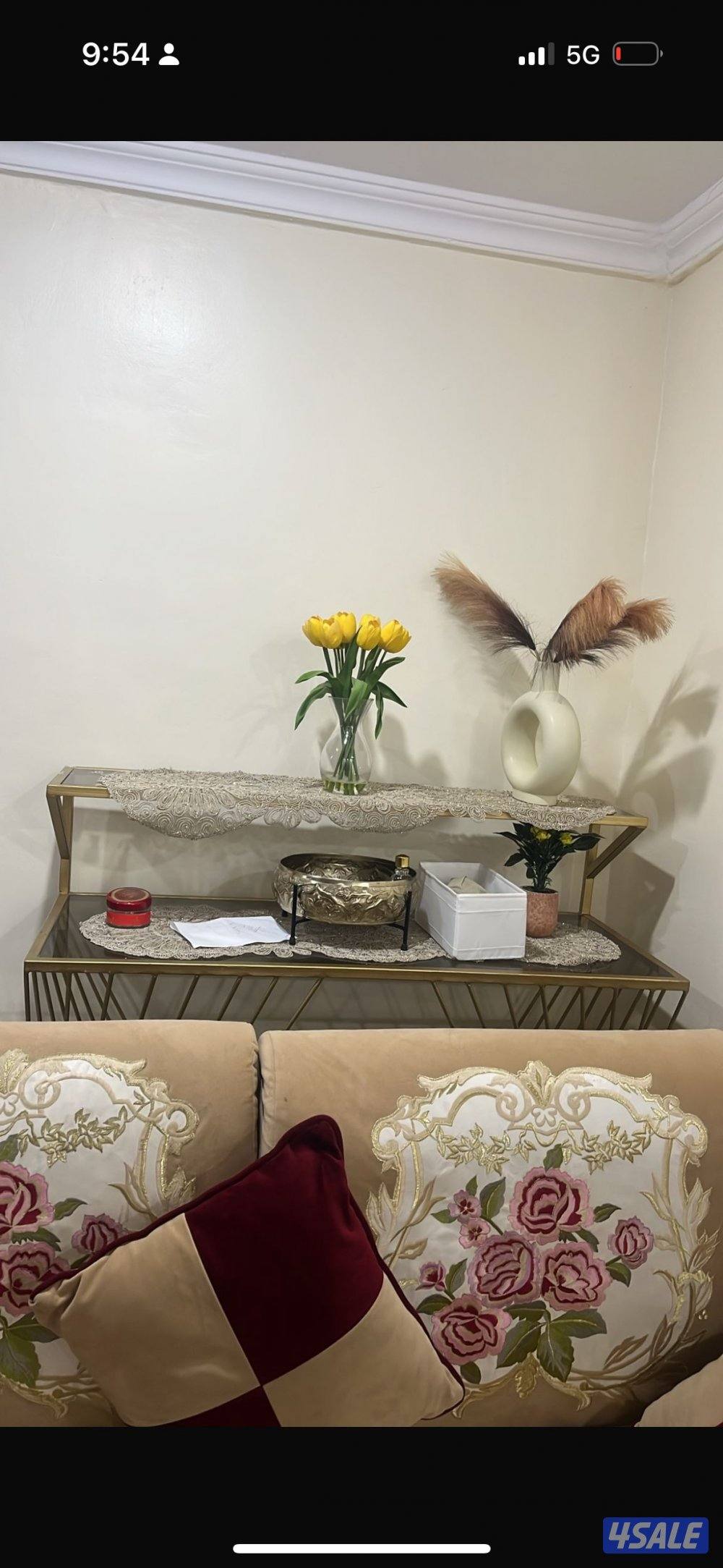 غنفات صاله بحاله جيده ب 50 دينار و النقل عليك1