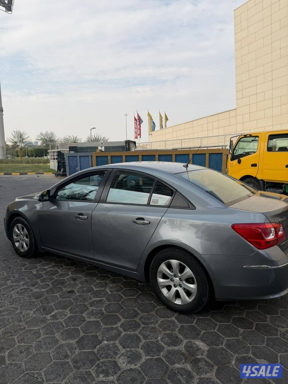 شفر كروز 20170