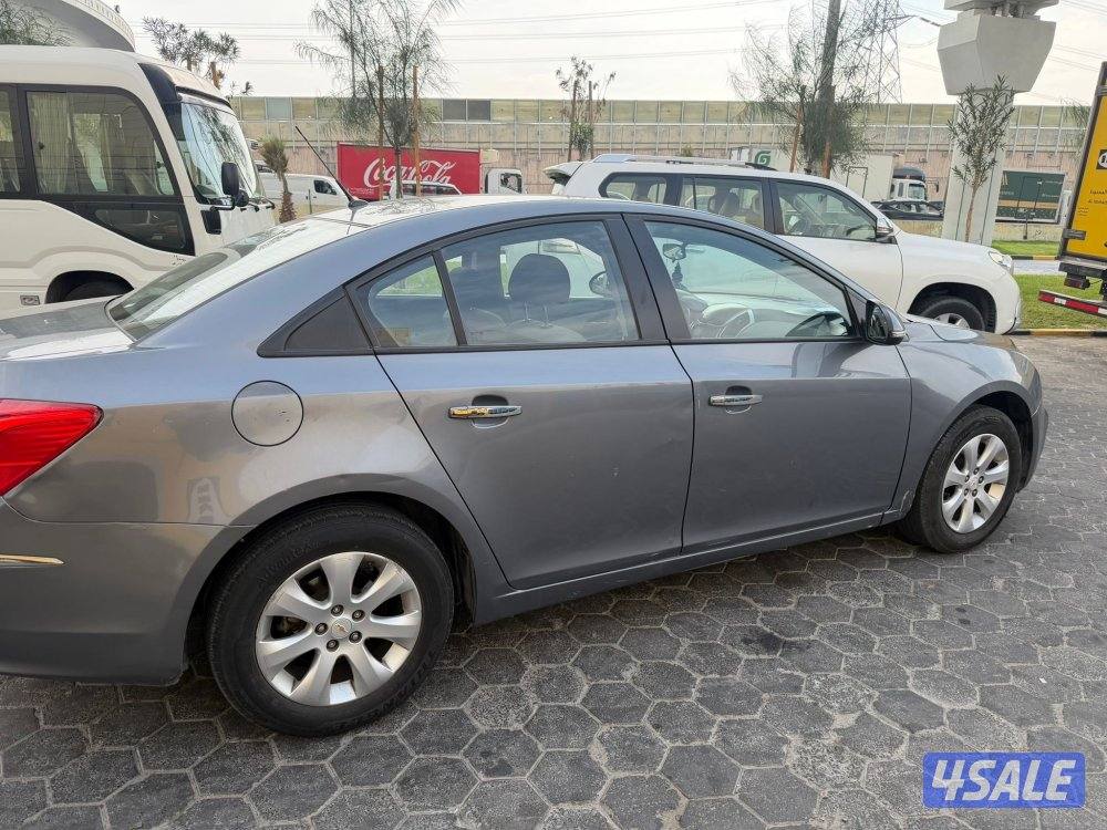 شفر كروز 20171