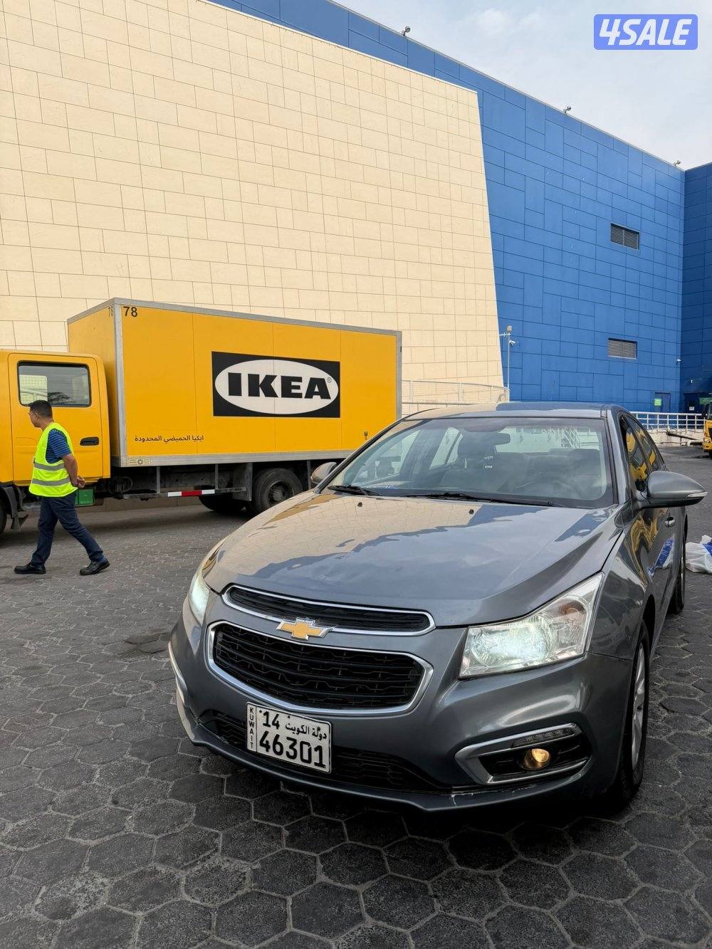 شفر كروز 20172