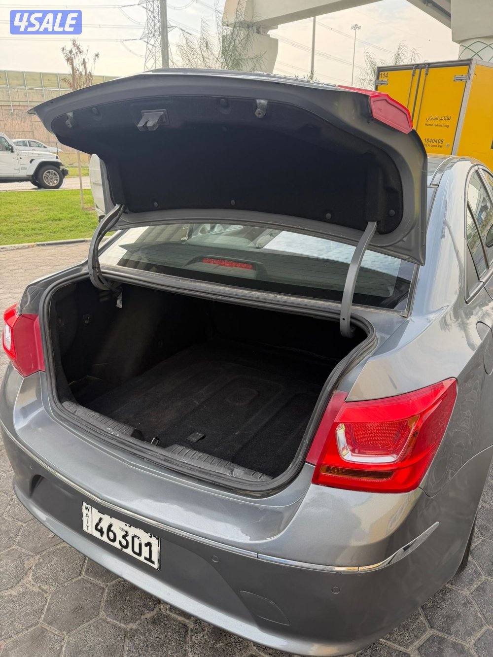 شفر كروز 20174