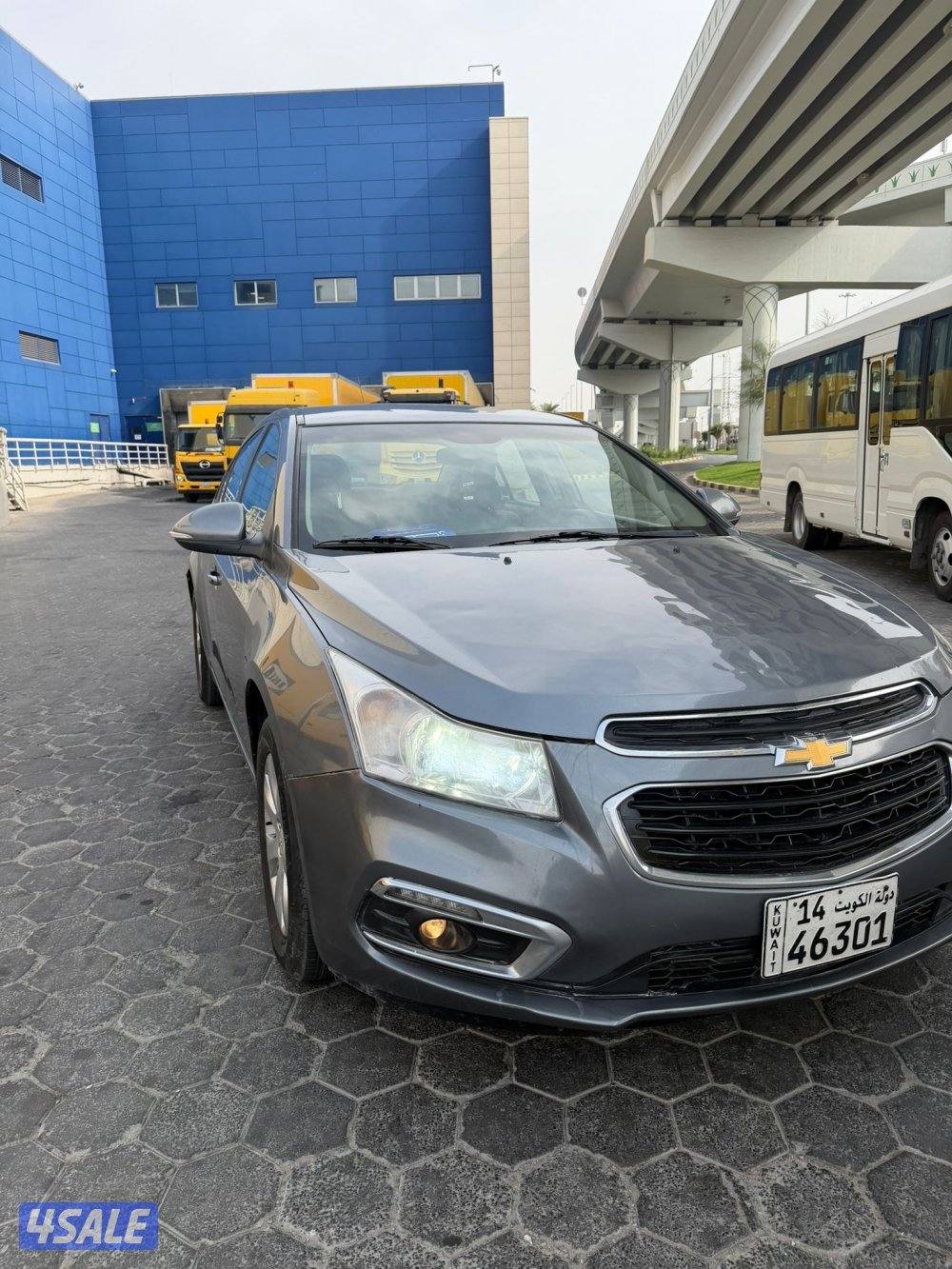 شفر كروز 20173