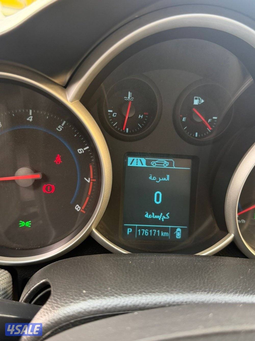 شفر كروز 20175