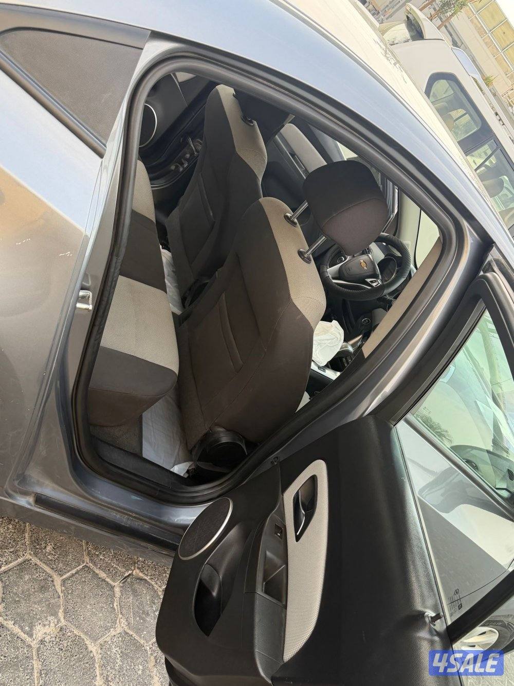 شفر كروز 20177