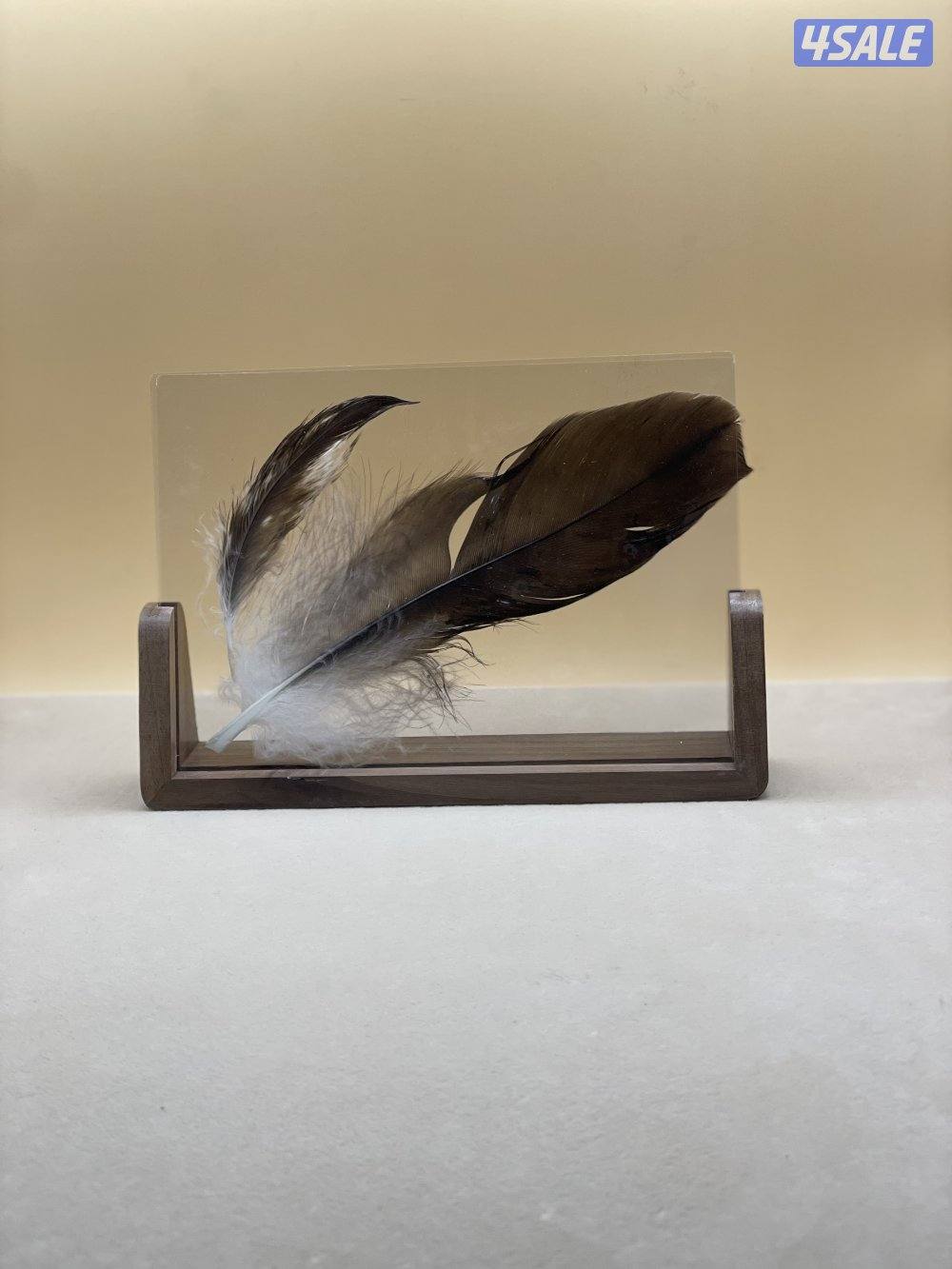 ريشة النسر الامريكي 🦅2