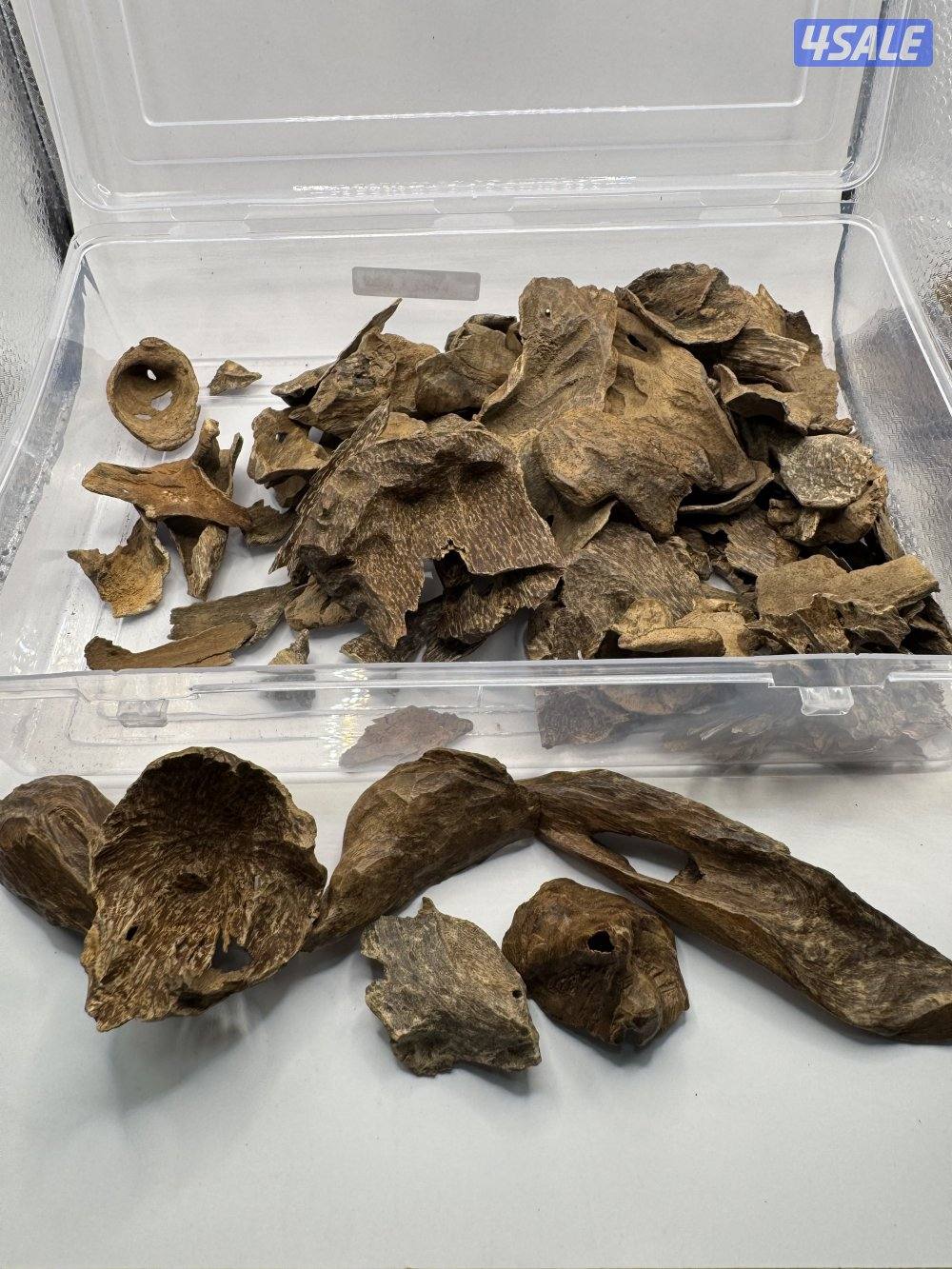 بخور معمول2