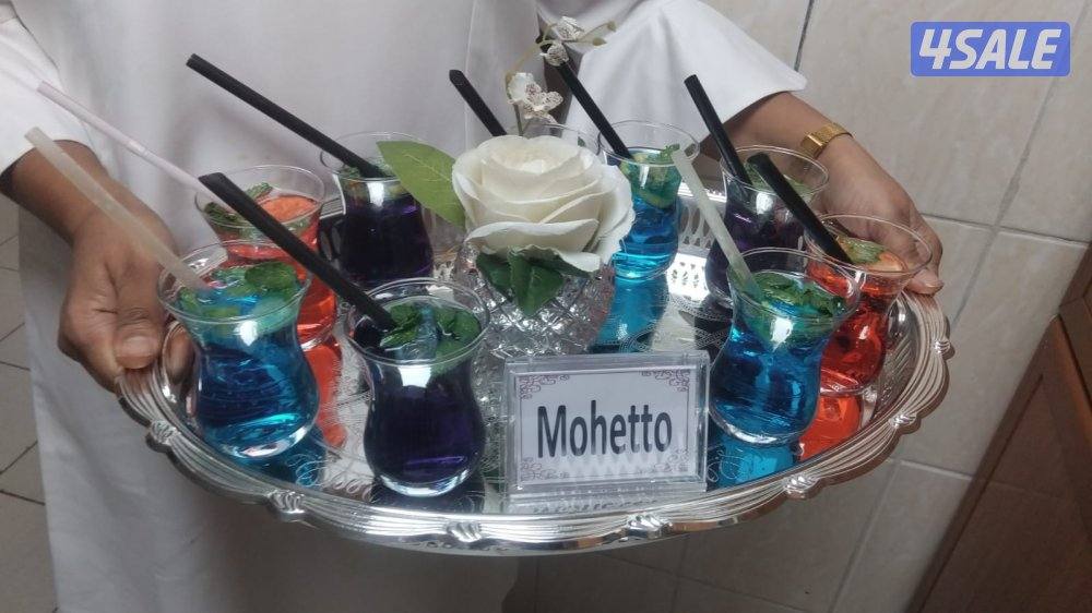 قصر الضيافه1