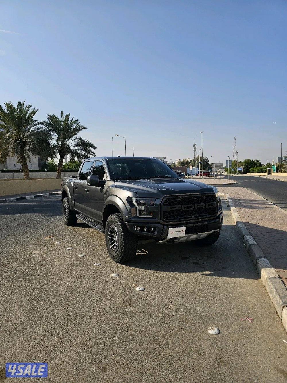 وانيت رابتر للبيع0