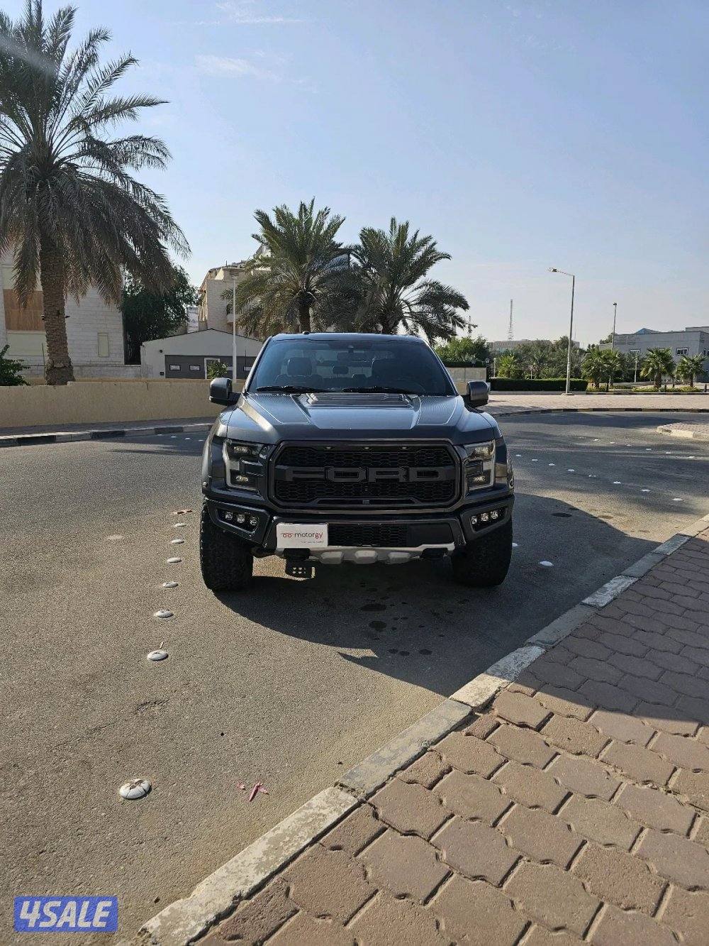 وانيت رابتر للبيع2