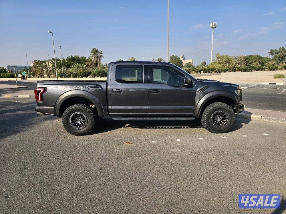 وانيت رابتر للبيع3