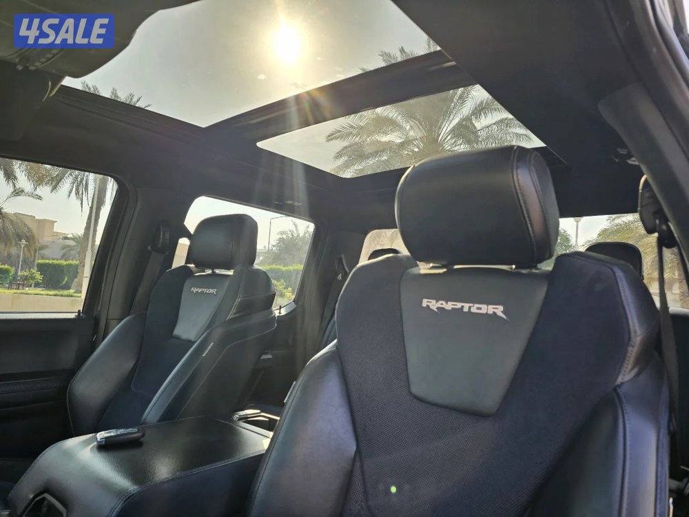 وانيت رابتر للبيع5