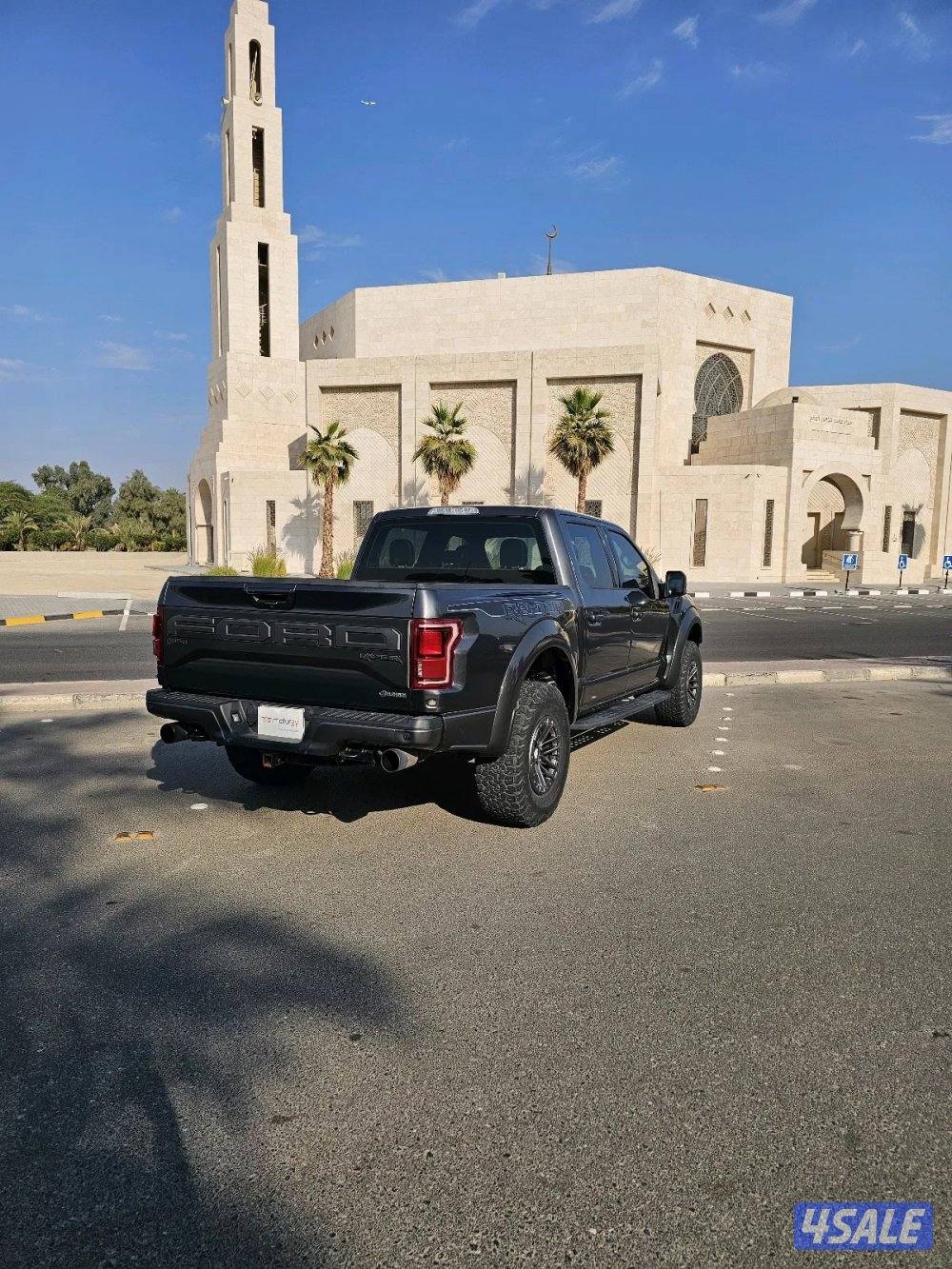 وانيت رابتر للبيع6