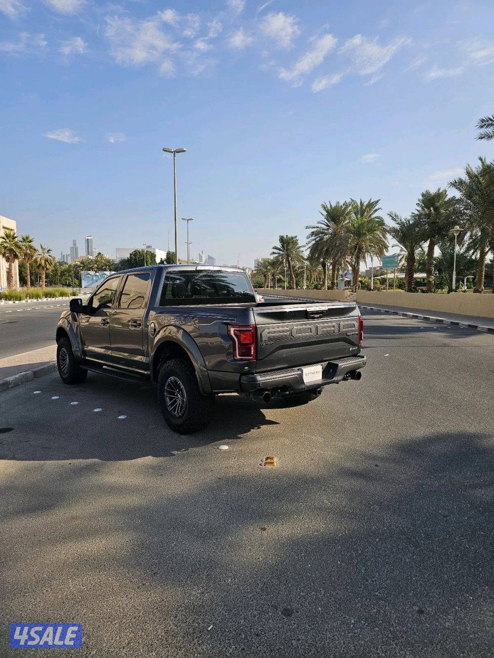 وانيت رابتر للبيع7