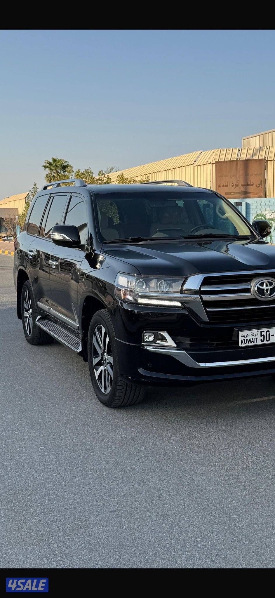 تورنق جلد وكالة1