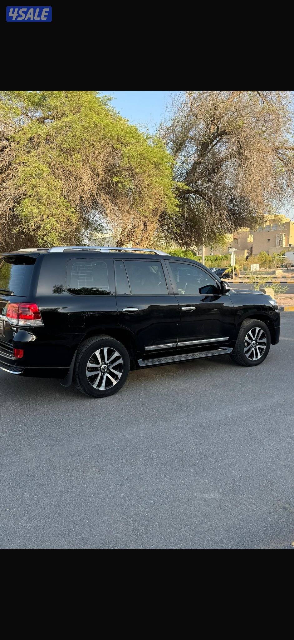 تورنق جلد وكالة3