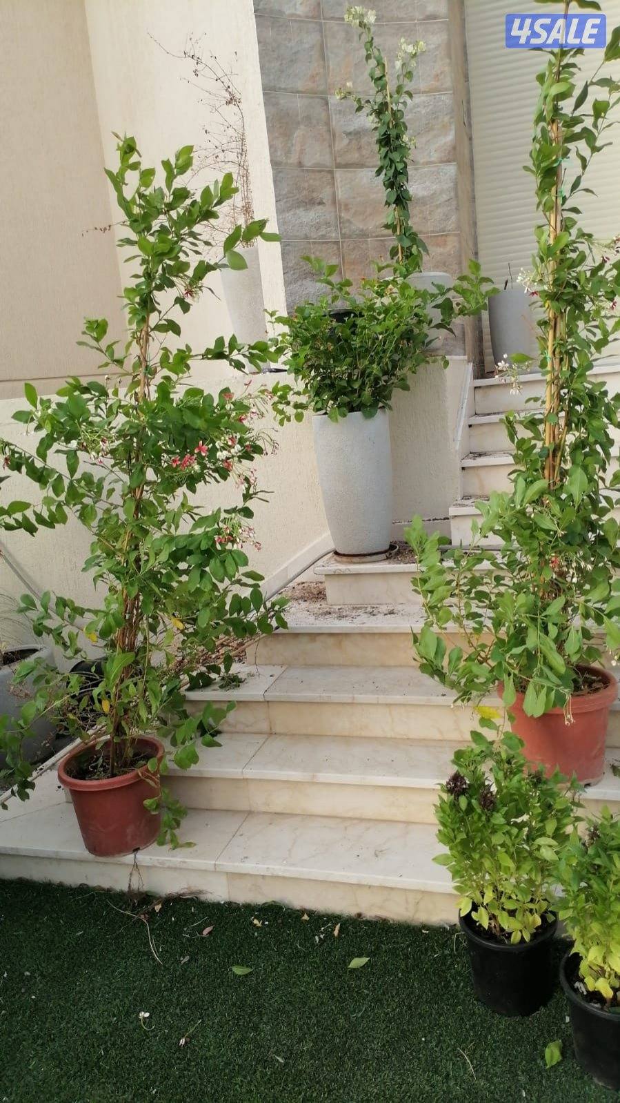 اوبال لتمديد وصيانة شبكات الري كونترول وصيانتها12