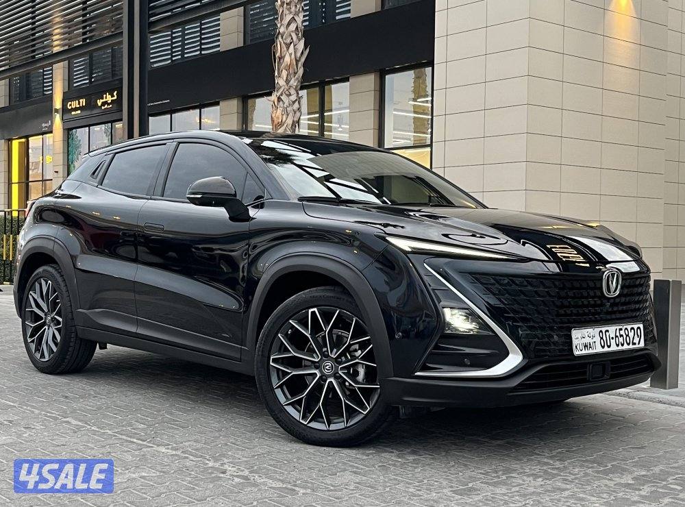 البيع جيب شانغان UNT6