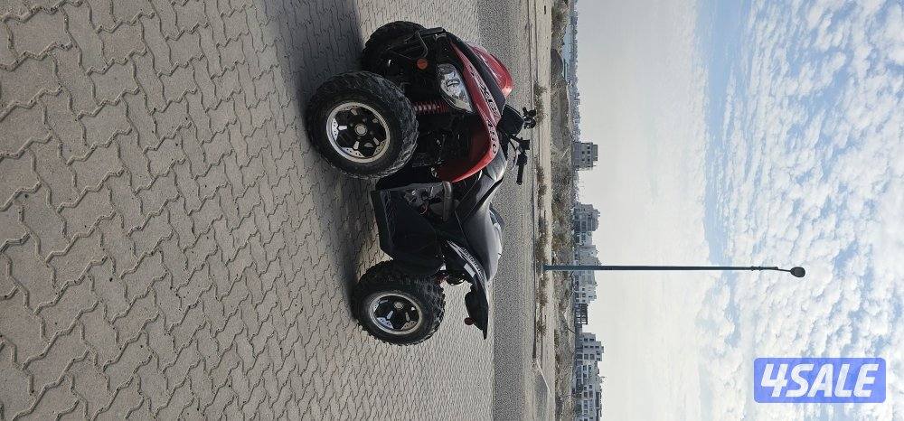 للبيع آرتي كات xc 4501