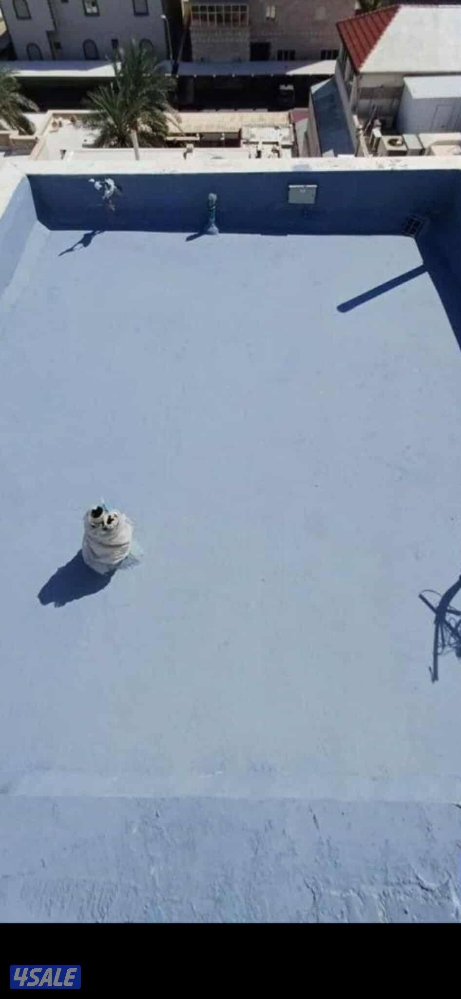 مقال عازل ابو حسن8