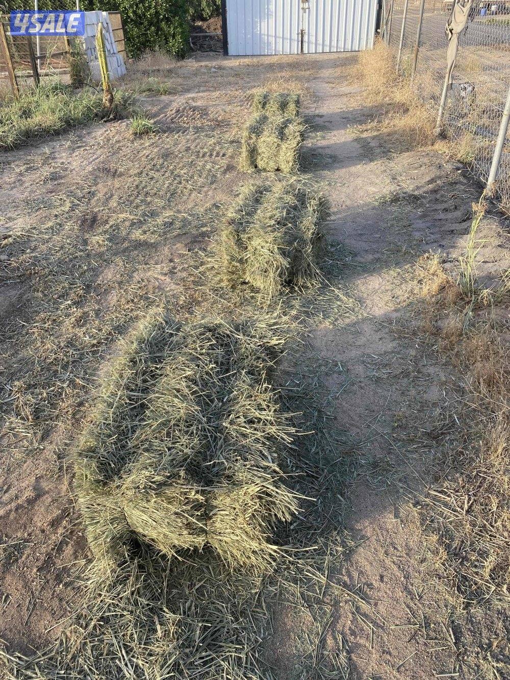 العبدلي ق ٤، خلف مسجد الخرينج، قسيمة ١٩1