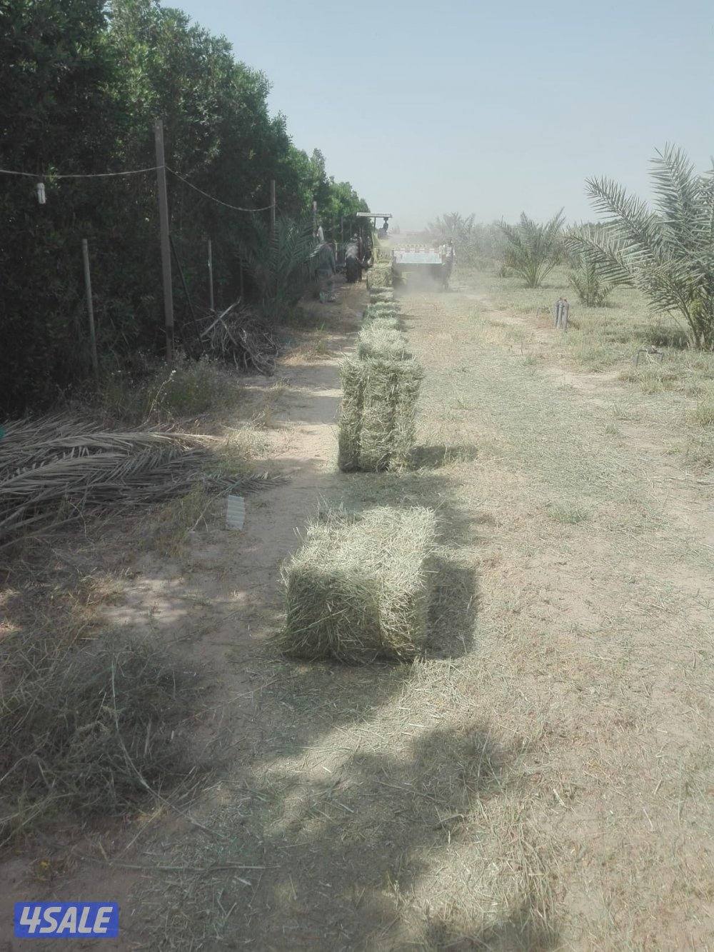 العبدلي ق ٤، خلف مسجد الخرينج، قسيمة ١٩0