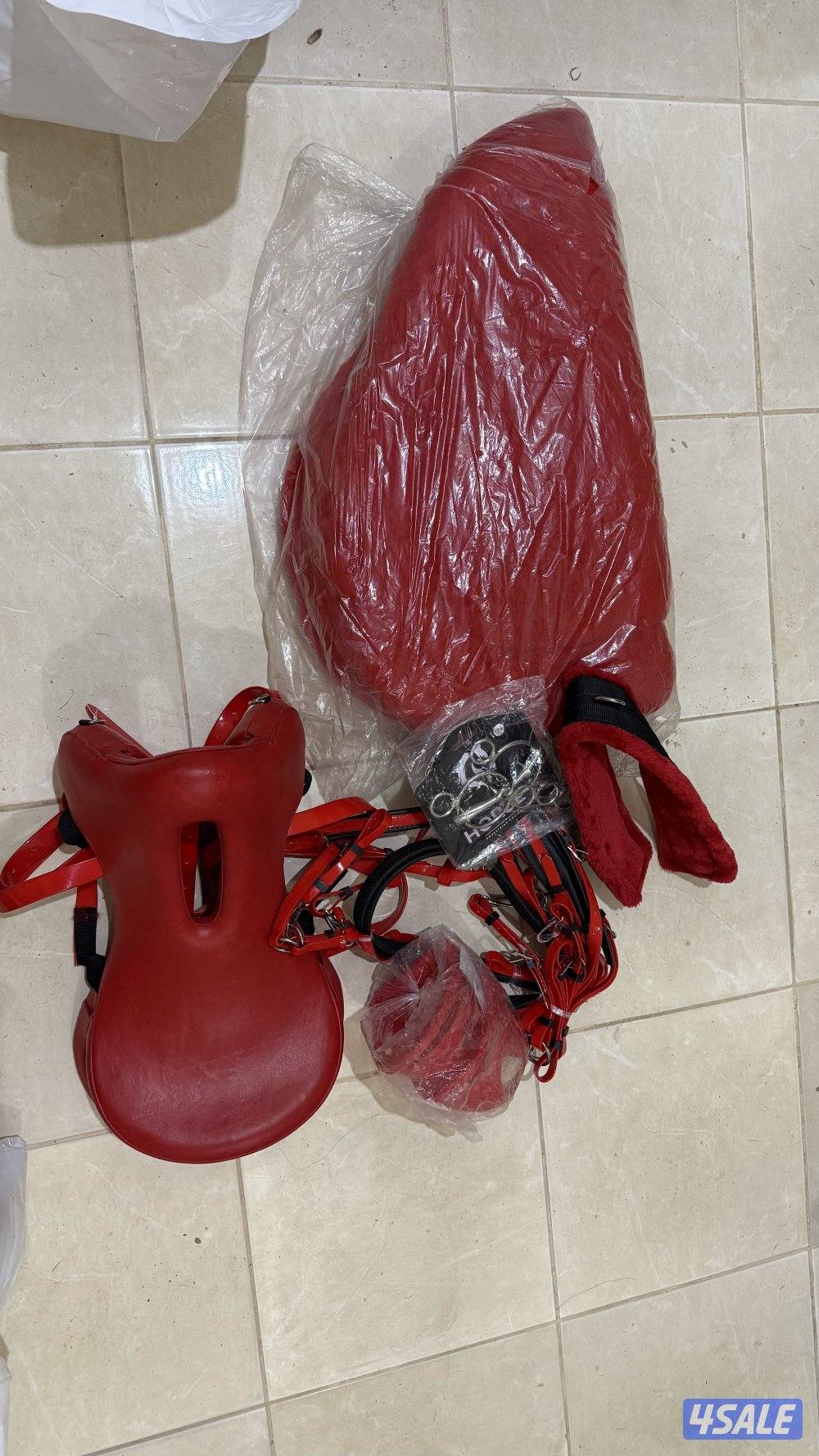 سروج ستيتوس جديدة بكامل اغراضه3