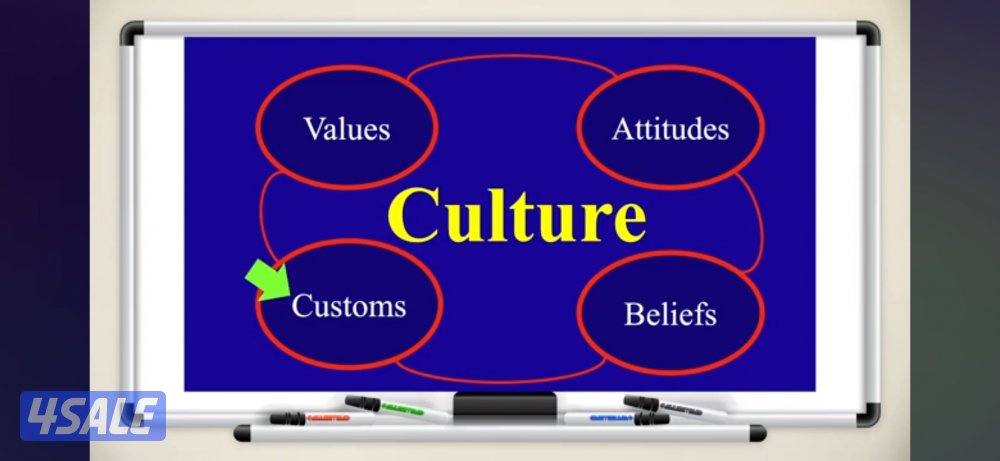 مدرس انجليزي6